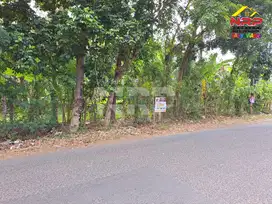 Dijual Tanah Kebun Strategis Di 0 Jl. Lingkar Ketapang - Banyuwangi