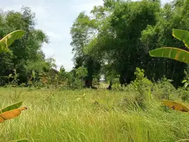 Dijual Cepat Tanah Pekarangan di Desa Sumberejo Kabupaten Madiun