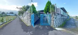 RUMAH ASRI DI LERENG LAWU