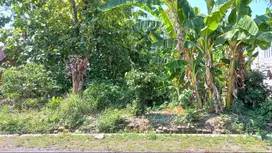 Dijual cepat : TANAH KEBON PINGGIR JALAN Rp 797.500 /M2 (nego tipis)