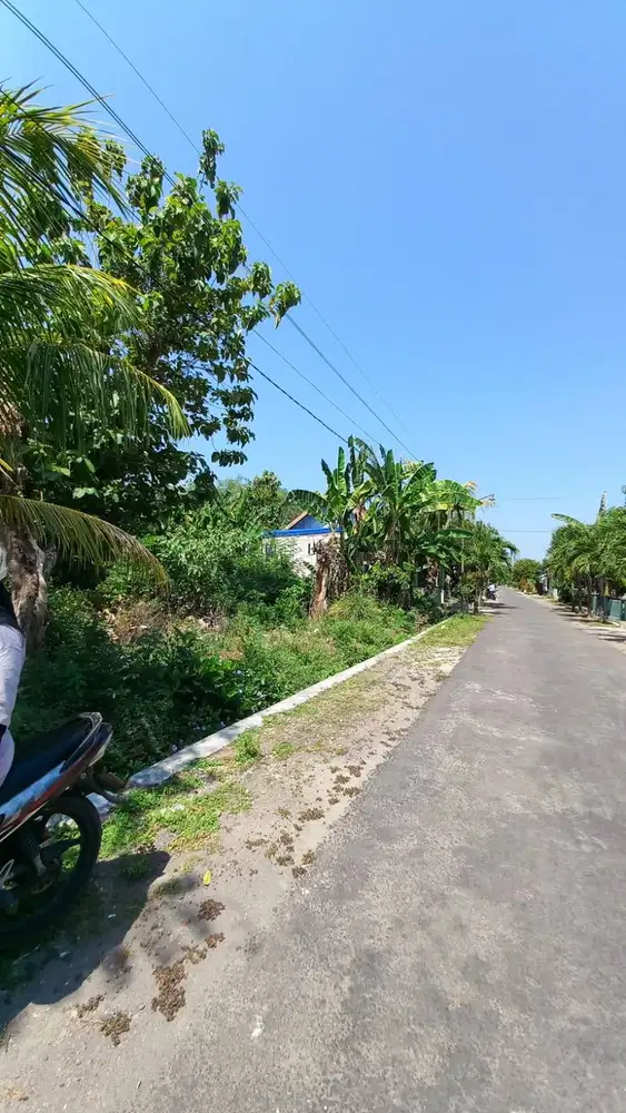 Dijual cepat : TANAH KEBON PINGGIR JALAN  Rp 735.000 /M2 (nego halus )