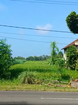 Tanah Disamping Jalan Raya Desa Ramai