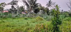 Tanah murah, kolam ikan dan rumah di bogor