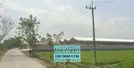 Tanah Luas LD 70 mtr, Caruban MADIUN zona Industri, Lokasi Mantap