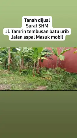 Tanah dijual cepat