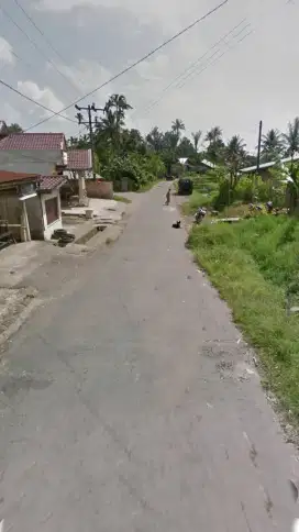 DIJUAL KEBUN KOPI PINGGIR JALAN ASPAL DI BANDAR BARU (081264304189)