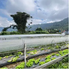 Tanah kebun sudah aspek view danau buyan pancesari bedugul