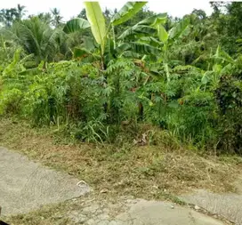 BUC Dijual Tanah Area Gubug Tabanan