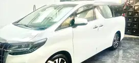 ALPHARD G ATPM 2020 LOW KM, Pemakai Langsung