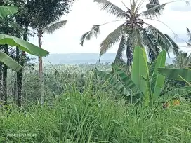 Tanah kebun view gunung dan lembah dekat Bali Eco Stay