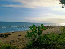 Tanah Los Pantai 1.13 hektar di Jembrana Bali