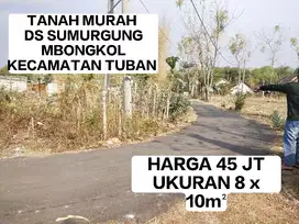 KAVLING SANGAT MURAH DAN STRATEGIS DS SUMURGUNG ,MBONGKOL TUBAN