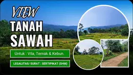 Tanah ladang || Untuk perkebunan, Vila || Ternak