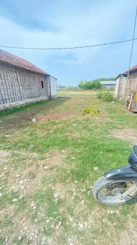 Rembang SHM - Sumberejo
