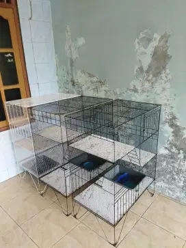 PROMO kandang kucing baru