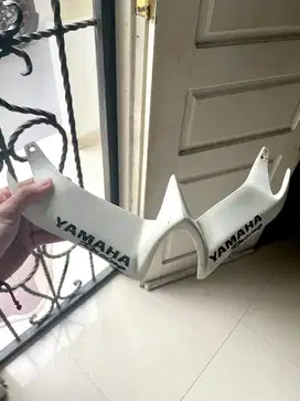 Winglet motor r25