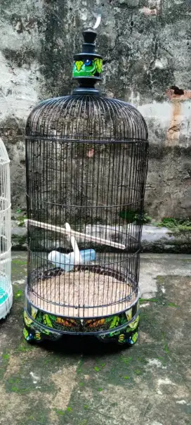 kandang Lovebird