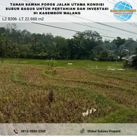 TANAH SAWAH SUBUR HARGA BAIK DI KASEMBON KABUPATEN MALANG.