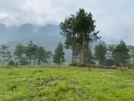 Tanah kavling villa berkabut di ketingian 1000 mdpl