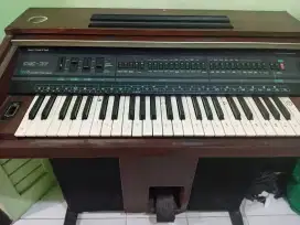 Keyboard.   Piano.  Organ.  Lama/tua