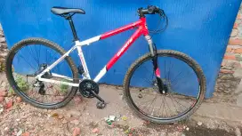 mtb dignity aloy 29er