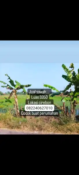 Jual tanah sawah Talun kabupaten cirebon