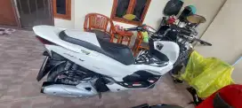 PCX 2020 PUTIH PRIBADI