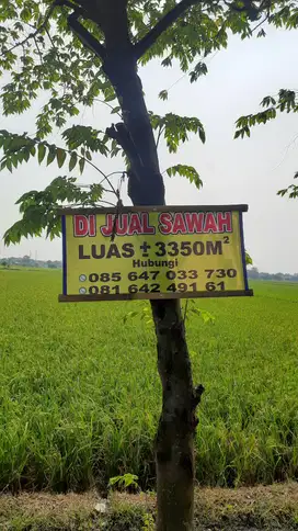 Dijual tanah sawah sudah zona kuning lokasi palur