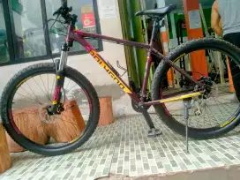 Jual sepedah mtb Polygon premier 4