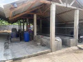 Dijual tanah beserta bekas kandang sapi.