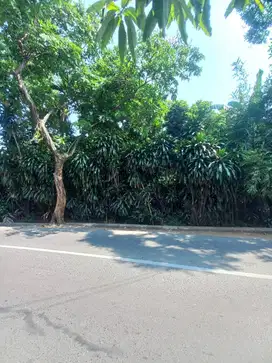 Dijual Tanah masih kebun kosong di Jagakarsa, Jaksel