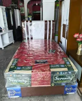Springbed Elite Serinity set Dipan minimalis UK 90 x 200cm