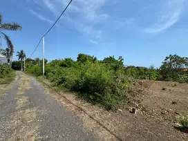 Tanah Dekat Pantai Saba Dengan Lingkungan Tenang