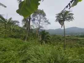 Tanah best view murah di jalan utama Sukamakmur bogor