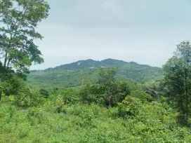 Tanah view pegunungan di kawasan Sukamakmur bogor