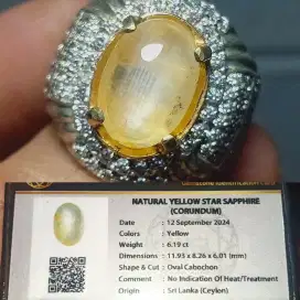 Yellow Star Sapphire Mirah Cempaka Ceylon Srilanka