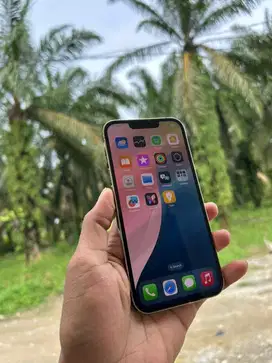 iPhone 13 Pro 128GB, Gold - Resmi beacukai, Anti blokir (Lengkap)