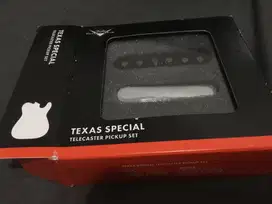 WTS (Want to Sale) Texas special telecaster pickup set (open box)