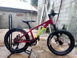 Sepeda mtb dominate A one junior size 20