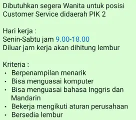 Lowongan kerja customer Service bisa bahasa inggris mandarin jakarta