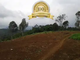 Kebun Tanah Murah bandung