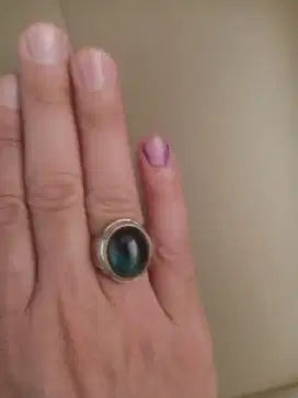 Bacan Doko barter Kenari Gacor