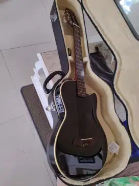 Guitar Acoustic Electric Gillmore