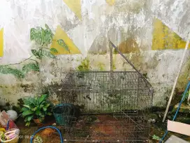 Di jual kandang kucing 2 tingkat