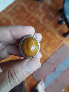 Batu fosil bambu antik