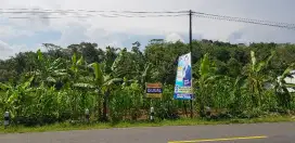 Tanah Jalan Raya Banyumas Semarang (desaKanding)