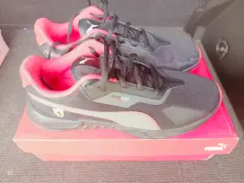 Sepatu Puma seri Ferrari ORI