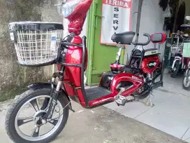 Sepeda listrik merek murai