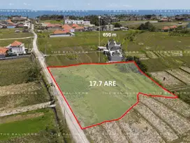 EXPANSIVE COMMERCIAL LAND WITH WALKING DISTANCE TO THE BEACH