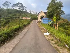 Tanah View Bukit dan Jembatan Kaca Kemuning Karanganyar